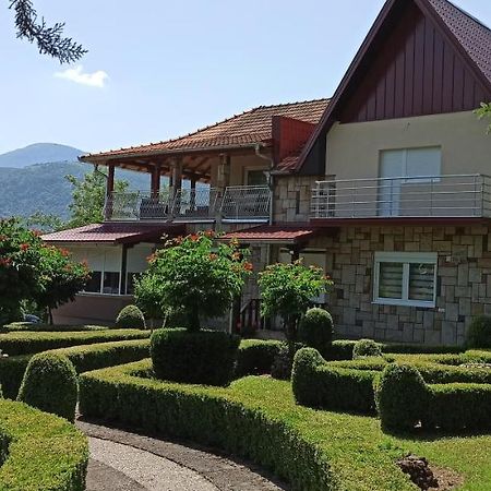 Guest House Vila Aleksa-apartman Bogutovac Extérieur photo