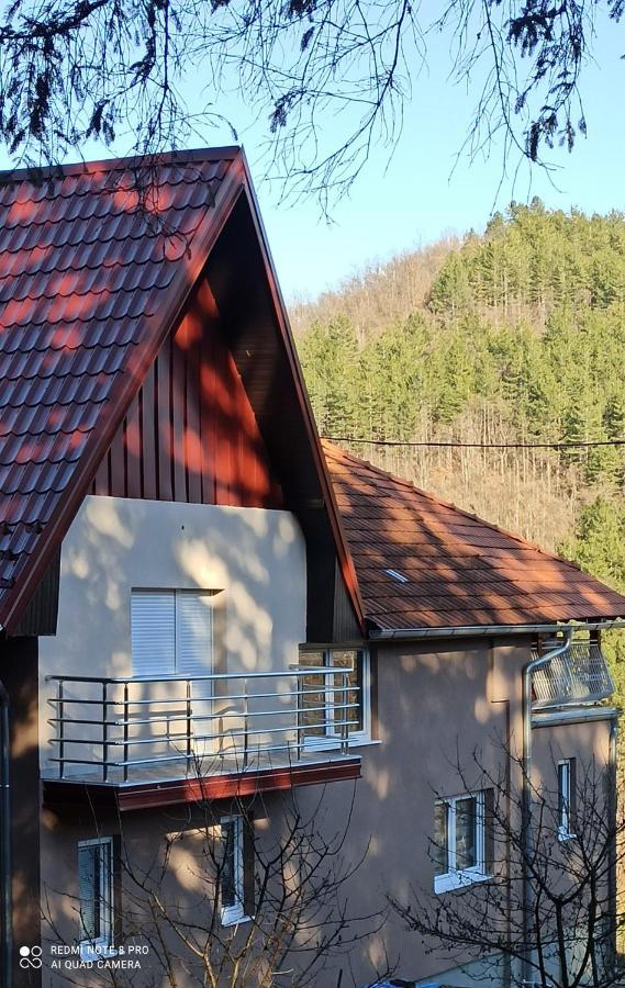 Guest House Vila Aleksa-apartman Bogutovac Extérieur photo