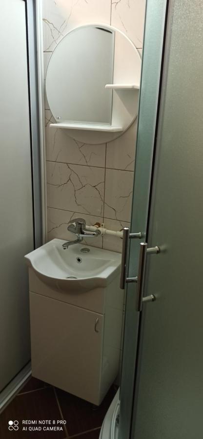 Guest House Vila Aleksa-apartman Bogutovac Extérieur photo