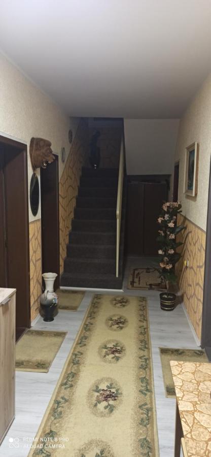 Guest House Vila Aleksa-apartman Bogutovac Extérieur photo
