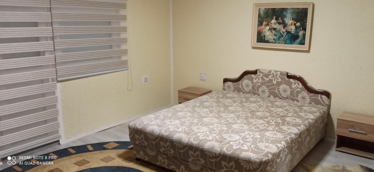 Guest House Vila Aleksa-apartman Bogutovac Extérieur photo