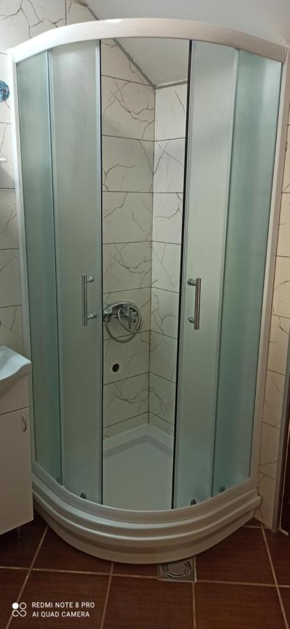 Guest House Vila Aleksa-apartman Bogutovac Extérieur photo
