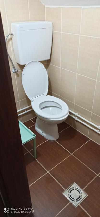 Guest House Vila Aleksa-apartman Bogutovac Extérieur photo