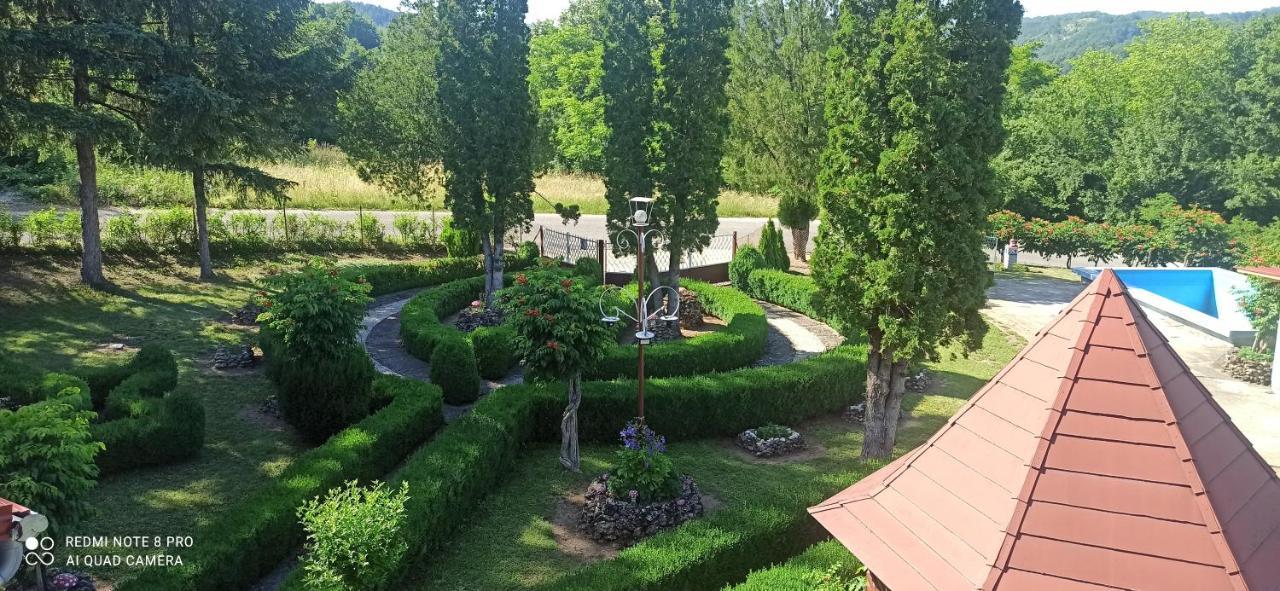 Guest House Vila Aleksa-apartman Bogutovac Extérieur photo