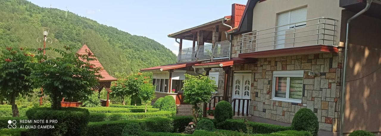 Guest House Vila Aleksa-apartman Bogutovac Extérieur photo