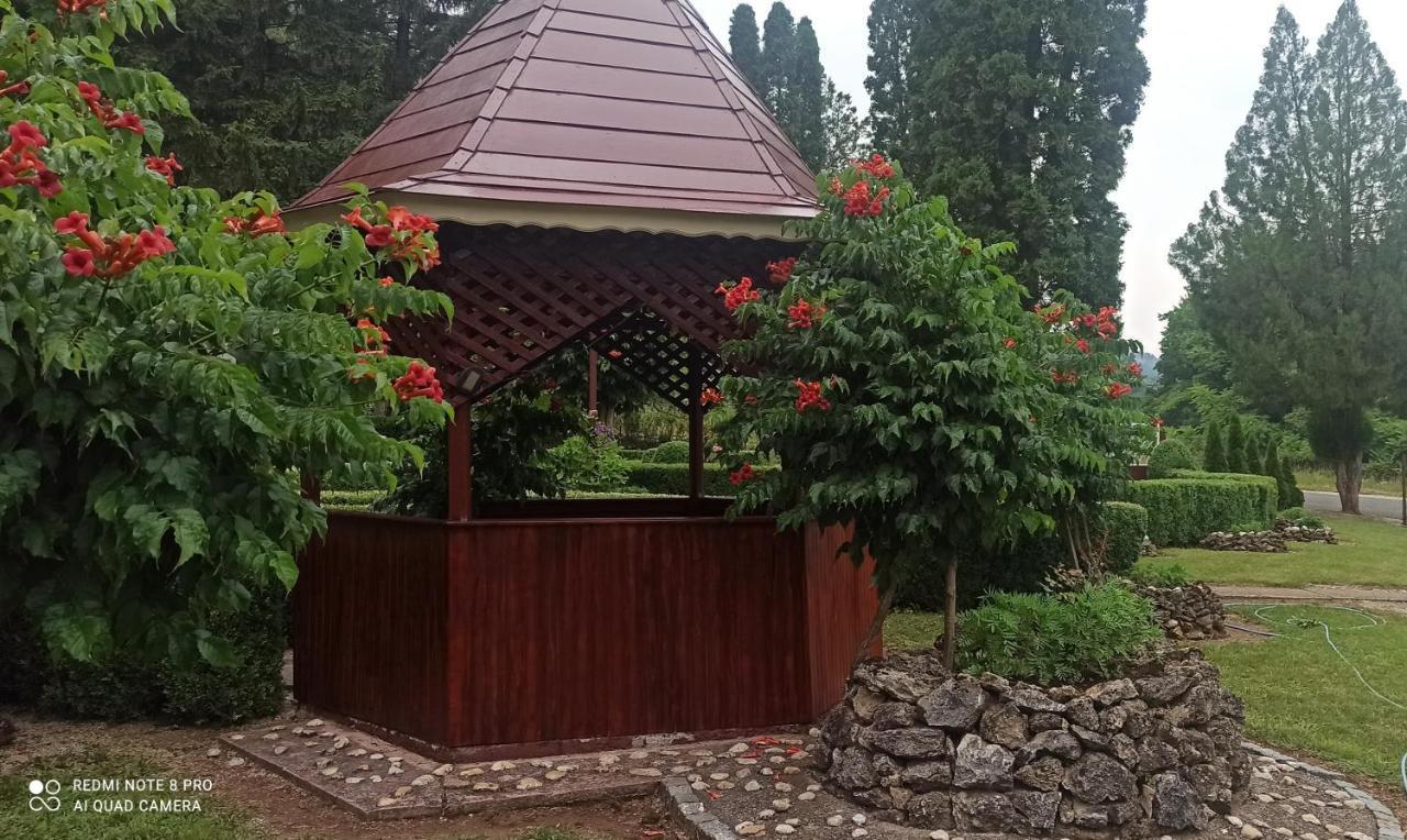Guest House Vila Aleksa-apartman Bogutovac Extérieur photo
