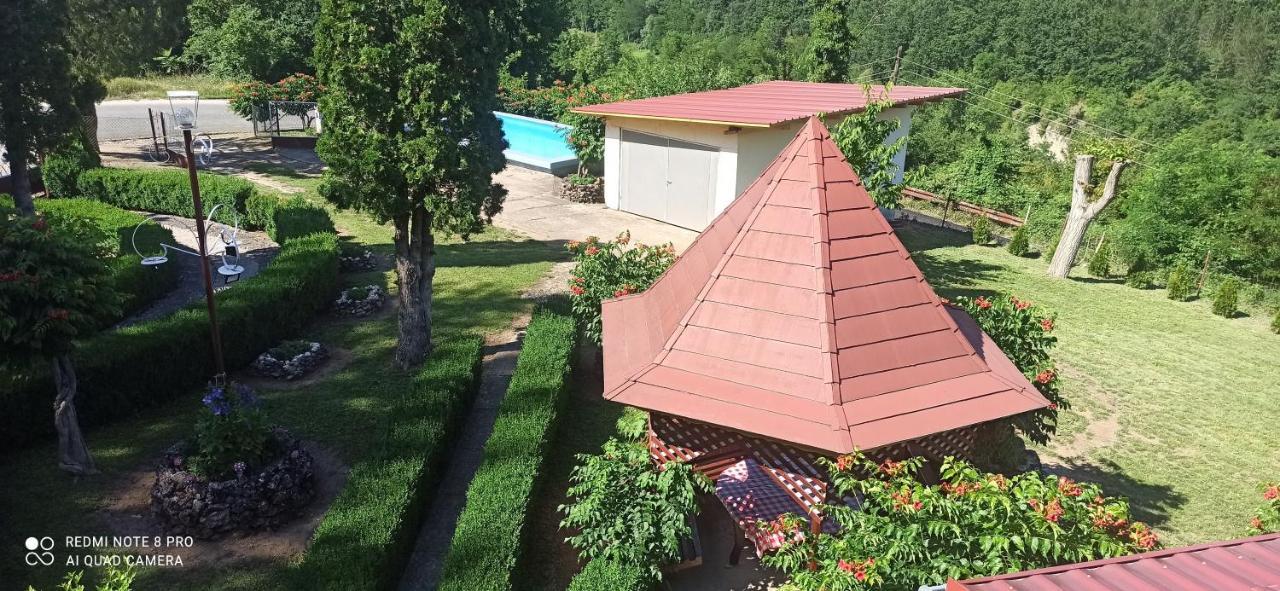 Guest House Vila Aleksa-apartman Bogutovac Extérieur photo