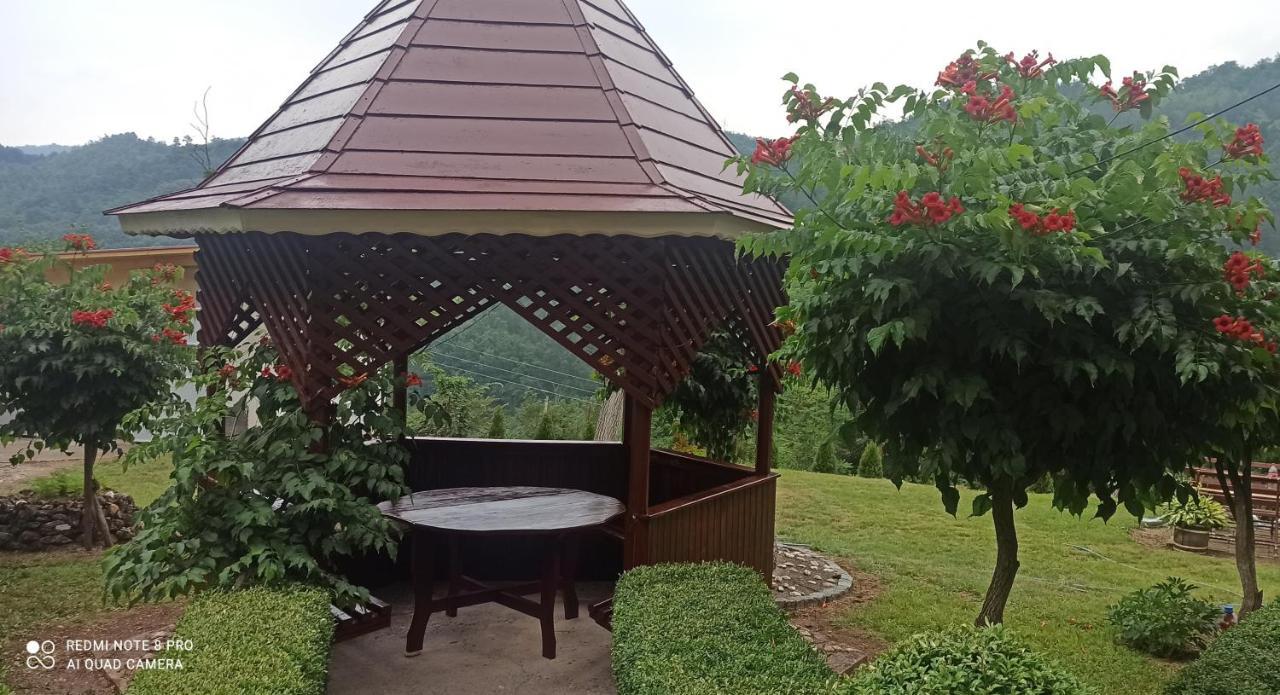 Guest House Vila Aleksa-apartman Bogutovac Extérieur photo