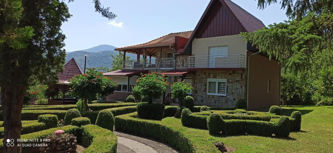 Guest House Vila Aleksa-apartman Bogutovac Extérieur photo