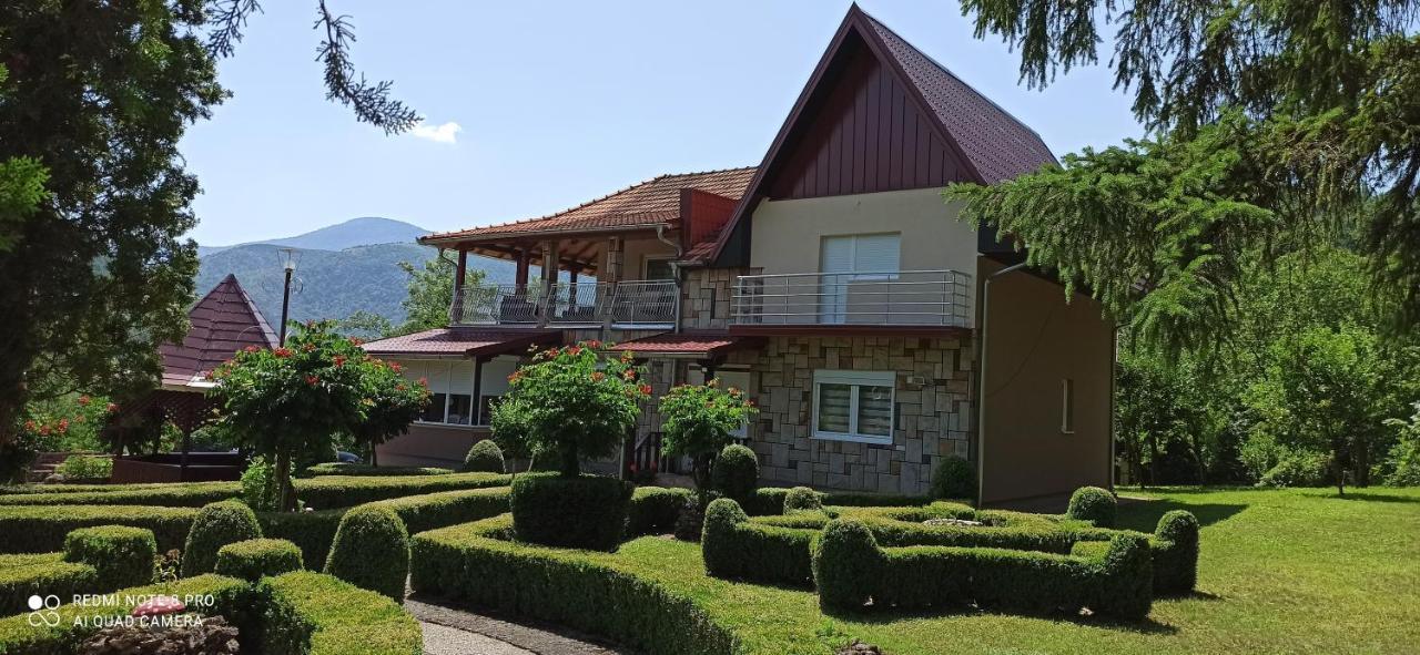 Guest House Vila Aleksa-apartman Bogutovac Extérieur photo