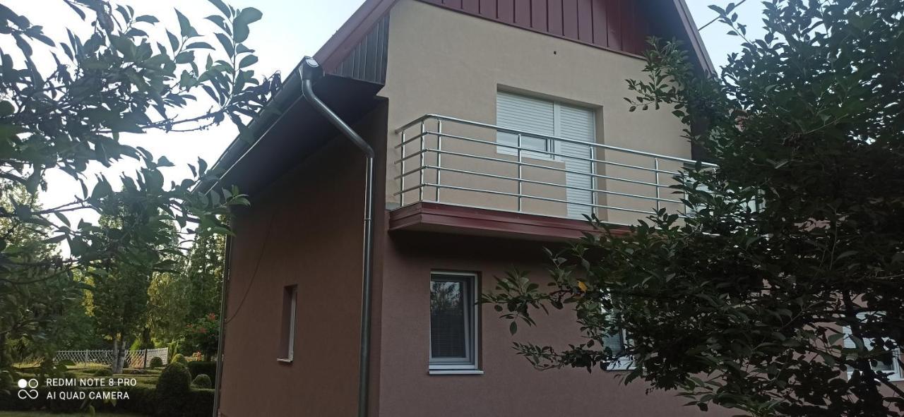 Guest House Vila Aleksa-apartman Bogutovac Extérieur photo