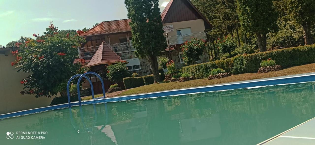 Guest House Vila Aleksa-apartman Bogutovac Extérieur photo