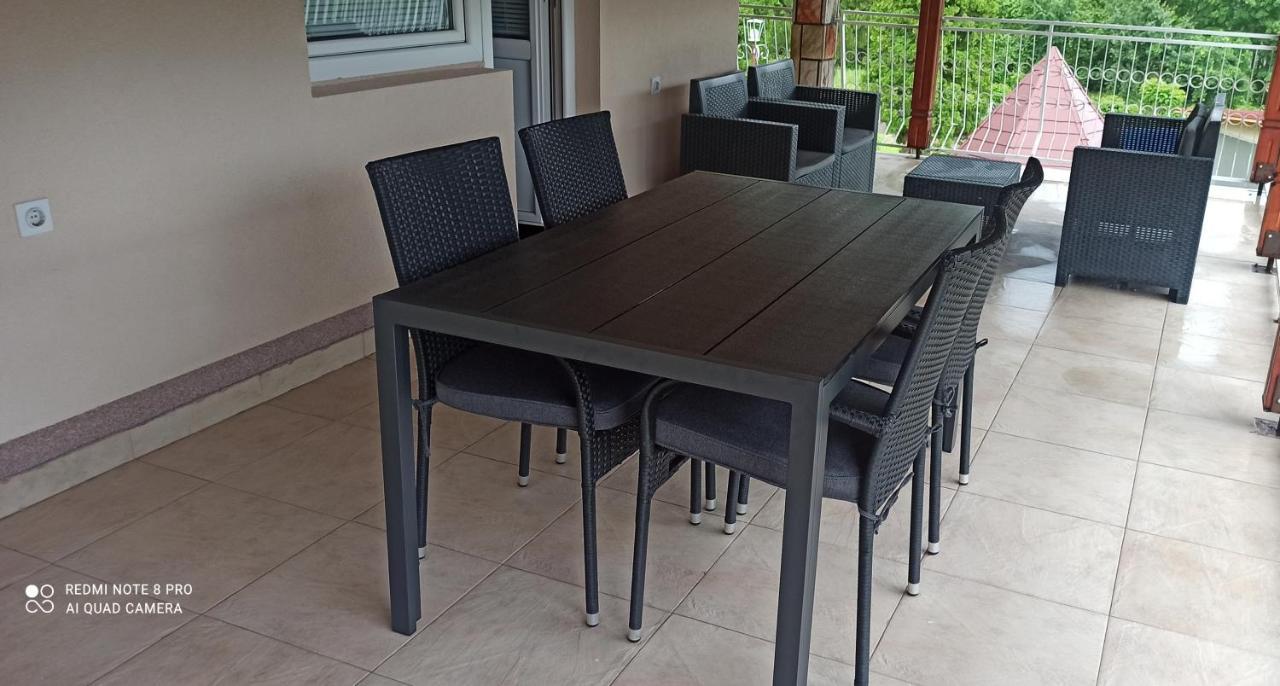 Guest House Vila Aleksa-apartman Bogutovac Extérieur photo