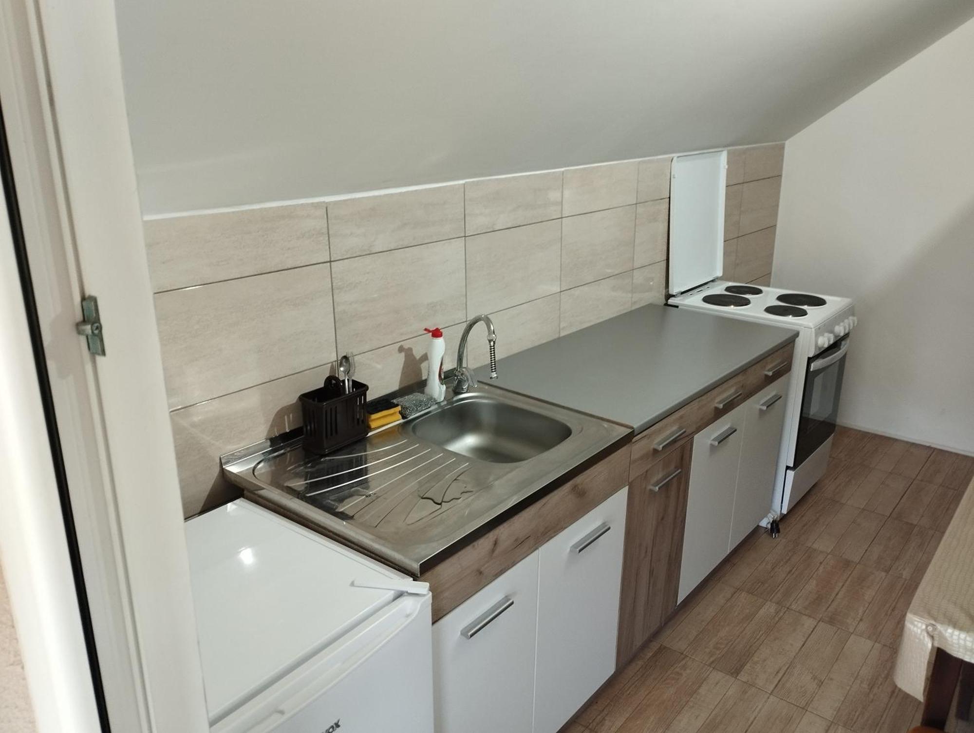 Guest House Vila Aleksa-apartman Bogutovac Extérieur photo